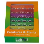 Купить Набор микропрепаратов Levenhuk LabZZ CP24, существа и растения