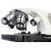 Микроскоп Discovery Atto Polar c книгой